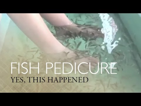 fish pedicure